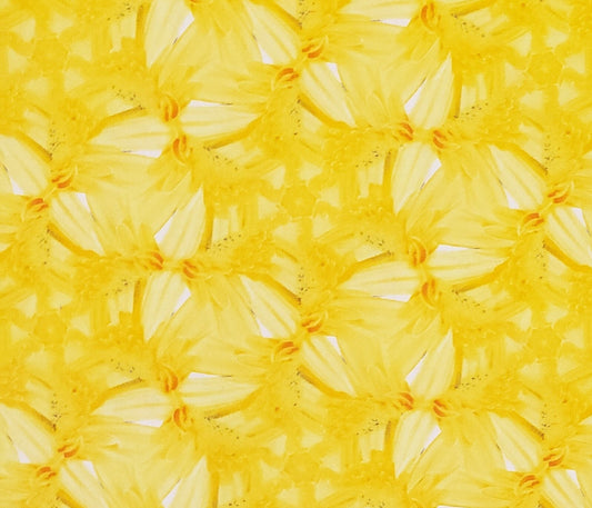 Charles Frean for Marcus Brothers Textiles - Bright Yellow Floral Print Fabric