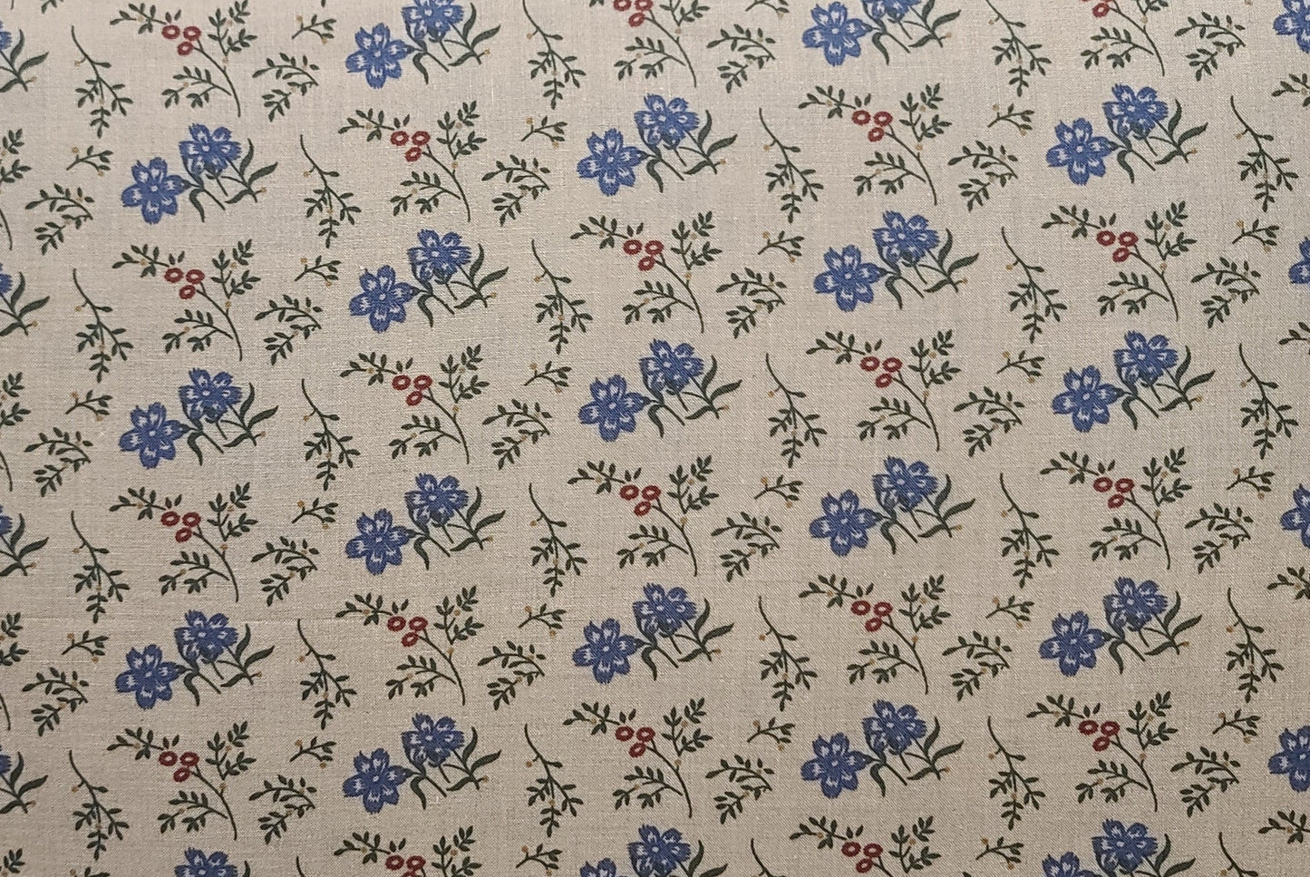 EOB - Welcome Home by Thimbleberries for RJR Fashion Fabrics - Tan Fabric / Blue, Red, Green Flower, Leaf Print