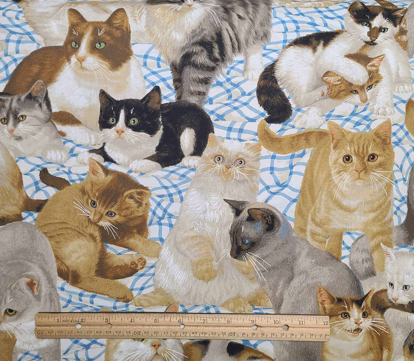 Daisy Kingdom #1872 Cats Meow Allover Springs Creative Products Group - Cats on Blue and White Bedding Fabric