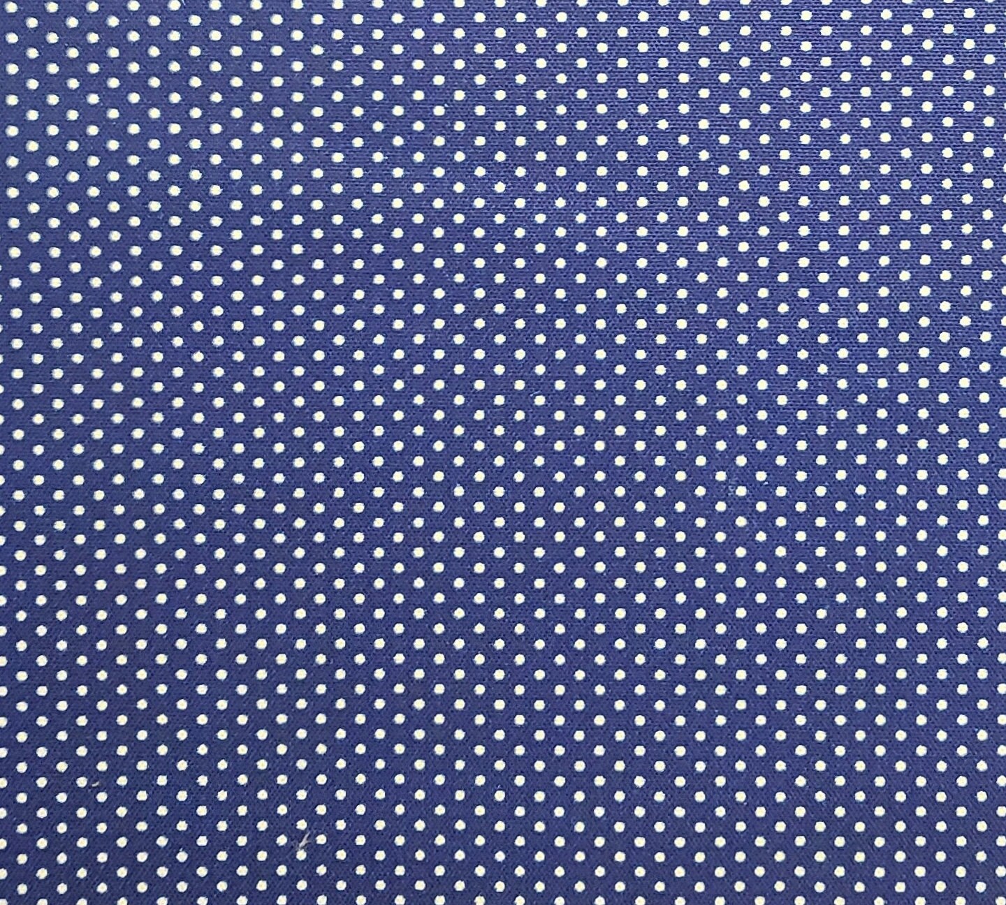 Blue Canvas Fabric / White Pin Dot Print - Selvage to Selvage Print