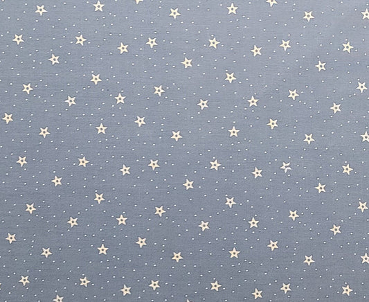 Designed by Virginia Robertson for Fabri-Quilt Inc - Blue Fabric / White Star and Pindot Print