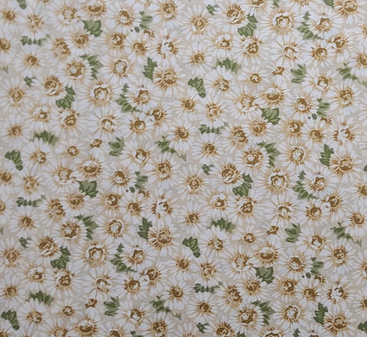 Bloomsburg #1504 Northcott Studio Quest For a Cure - Tan Fabric / White, Brown Daisy Print