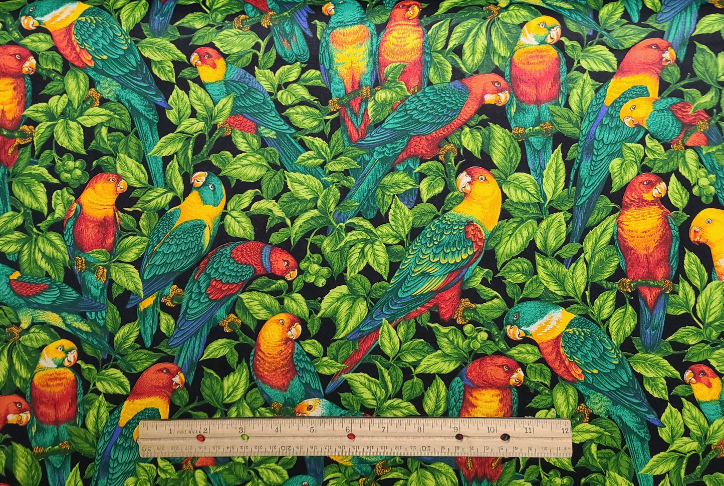 VIP Cranston Print Works - Black Fabric / Brightly Colored Parrot Print