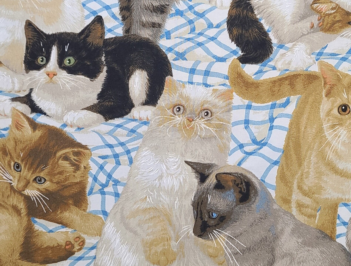 Daisy Kingdom #1872 Cats Meow Allover Springs Creative Products Group - Cats on Blue and White Bedding Fabric