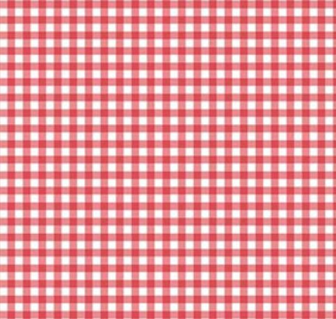 Riley Blake Designs Pattern C14795-RED Gone Glamping by Lori Whitlock 2024 Gingham Red - Red and White Gingham Print Fabric