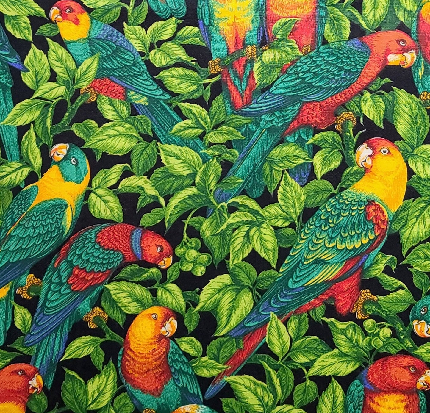 VIP Cranston Print Works - Black Fabric / Brightly Colored Parrot Print