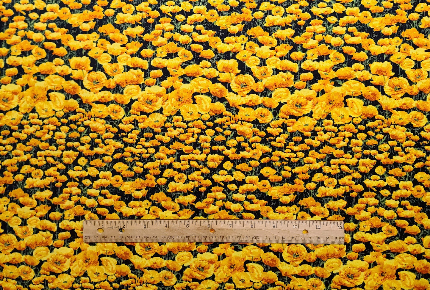 The State Flowers Golden Poppy by Suzan Ellis for Northcott - Black Fabric / Packed Golden Poppy Print