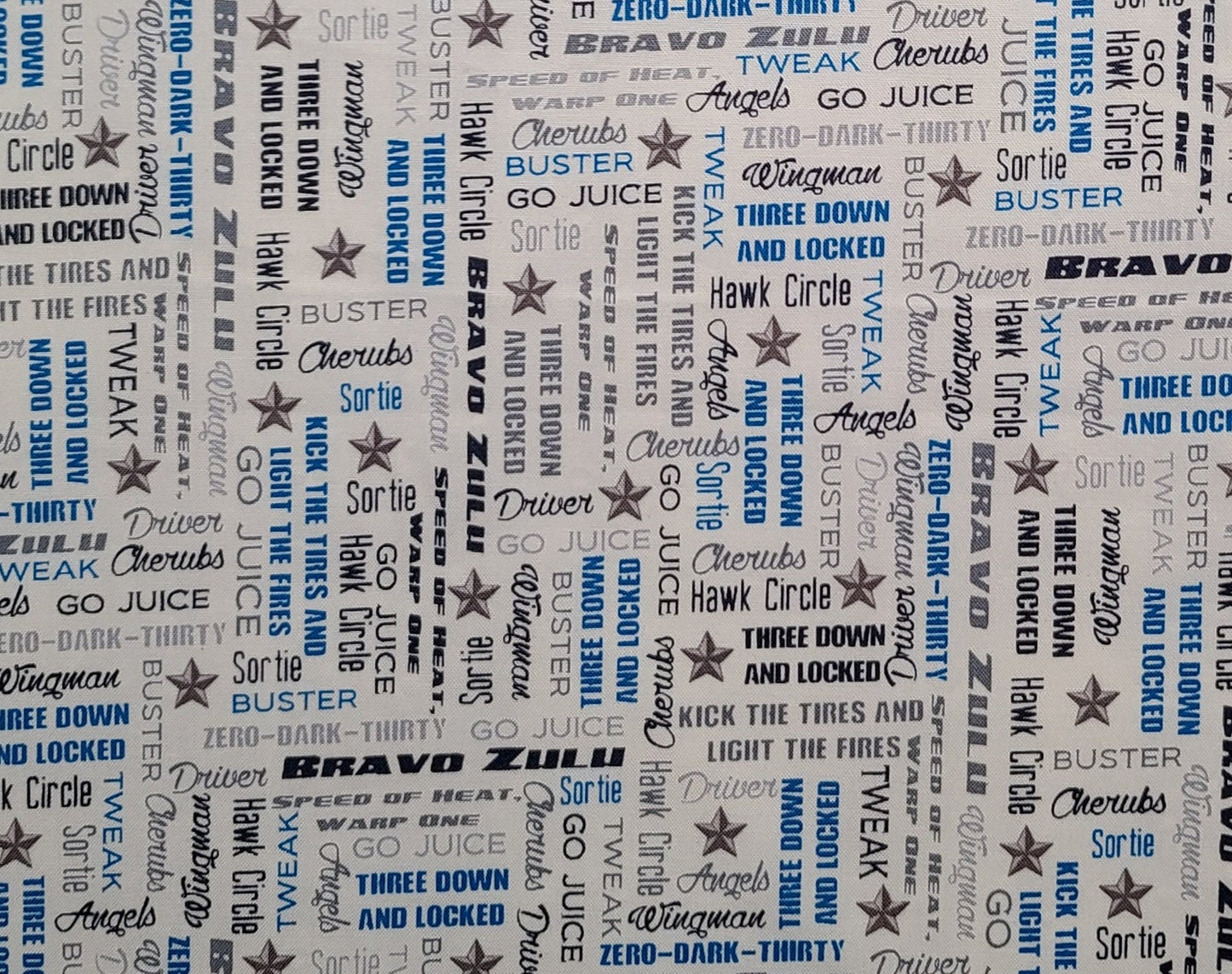 EOB - Quilting Treasures Smithsonian - White Fabric / Blue, Dark Blue, Gray Military Jargon Print