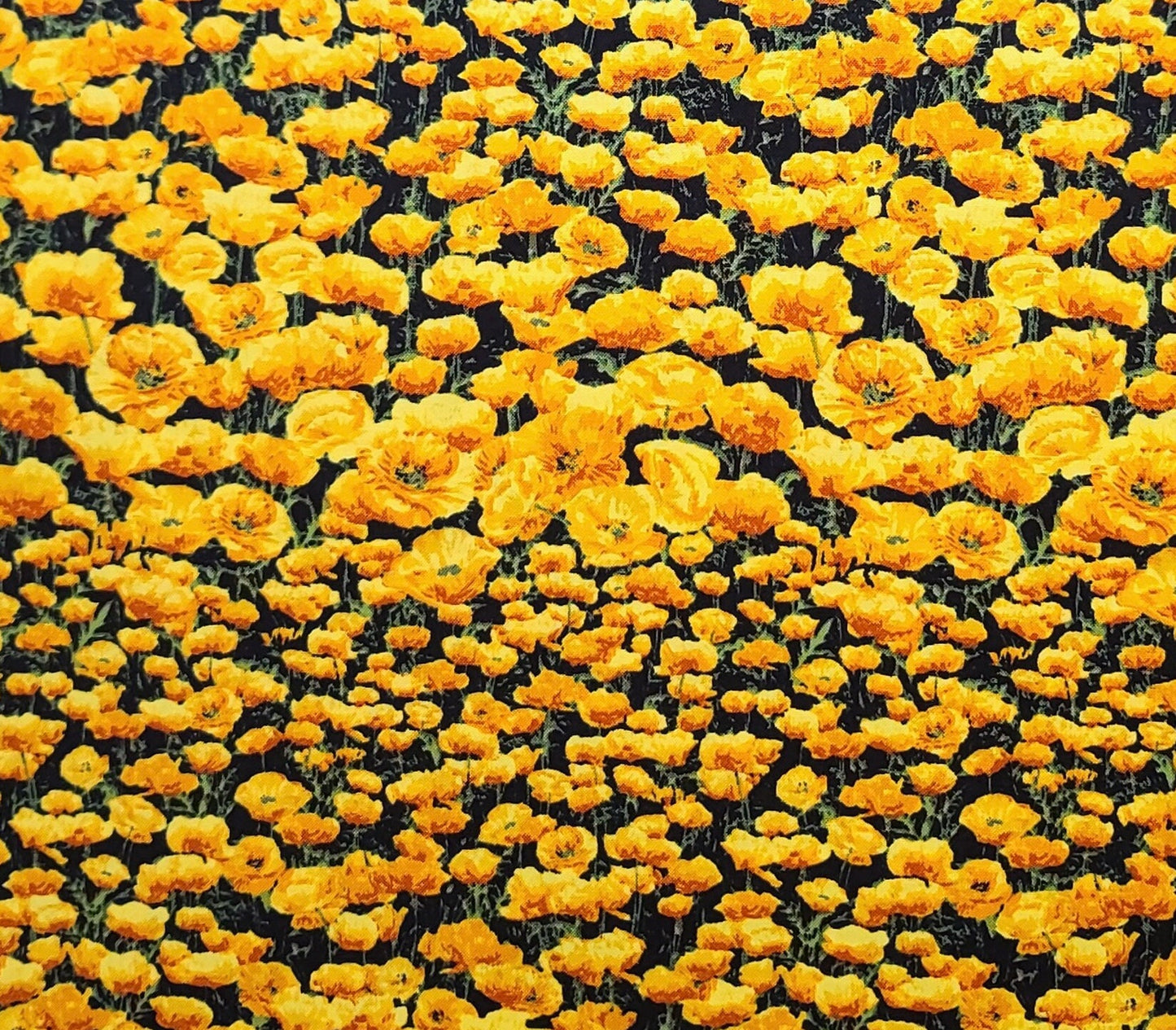 The State Flowers Golden Poppy by Suzan Ellis for Northcott - Black Fabric / Packed Golden Poppy Print