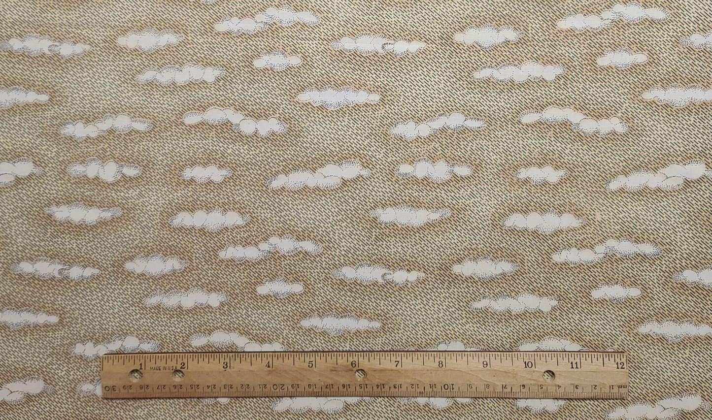 EOB - Tan Tonal Fabric / Gray Rain and Cream Cloud Print - Selvage to Selvage Print