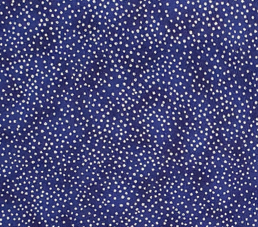 Fabric Traditions 2009 - Dark Blue Tonal Fabric with Metallic Silver Dots