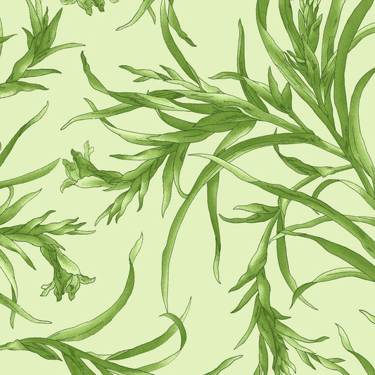 Sommersville by Maywood Studio - Leaves - Pale Green Fabric / Green Gladiolus Leaf Print