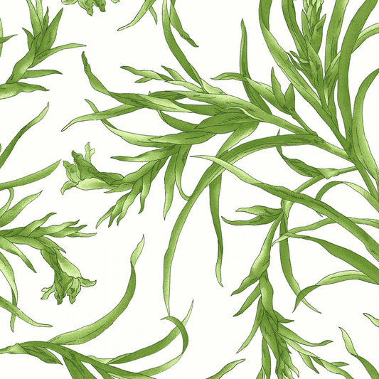 EOB - Sommersville by Maywood Studio - Leaves - White Fabric / Green Gladiolus Leaf Print