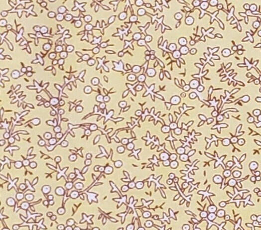 Golden Yellow Fabric - Tiny White Berry / Brown Vine Pattern