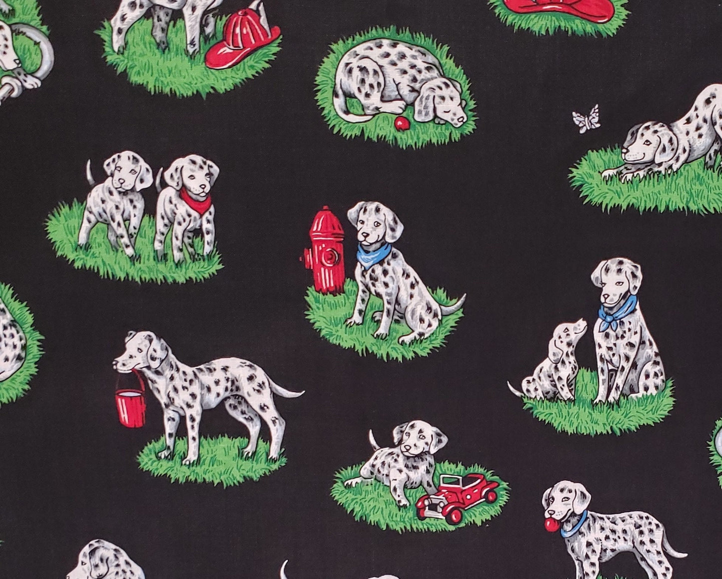 Cranston Print Works Company - Black Fabric / Dalmation Print