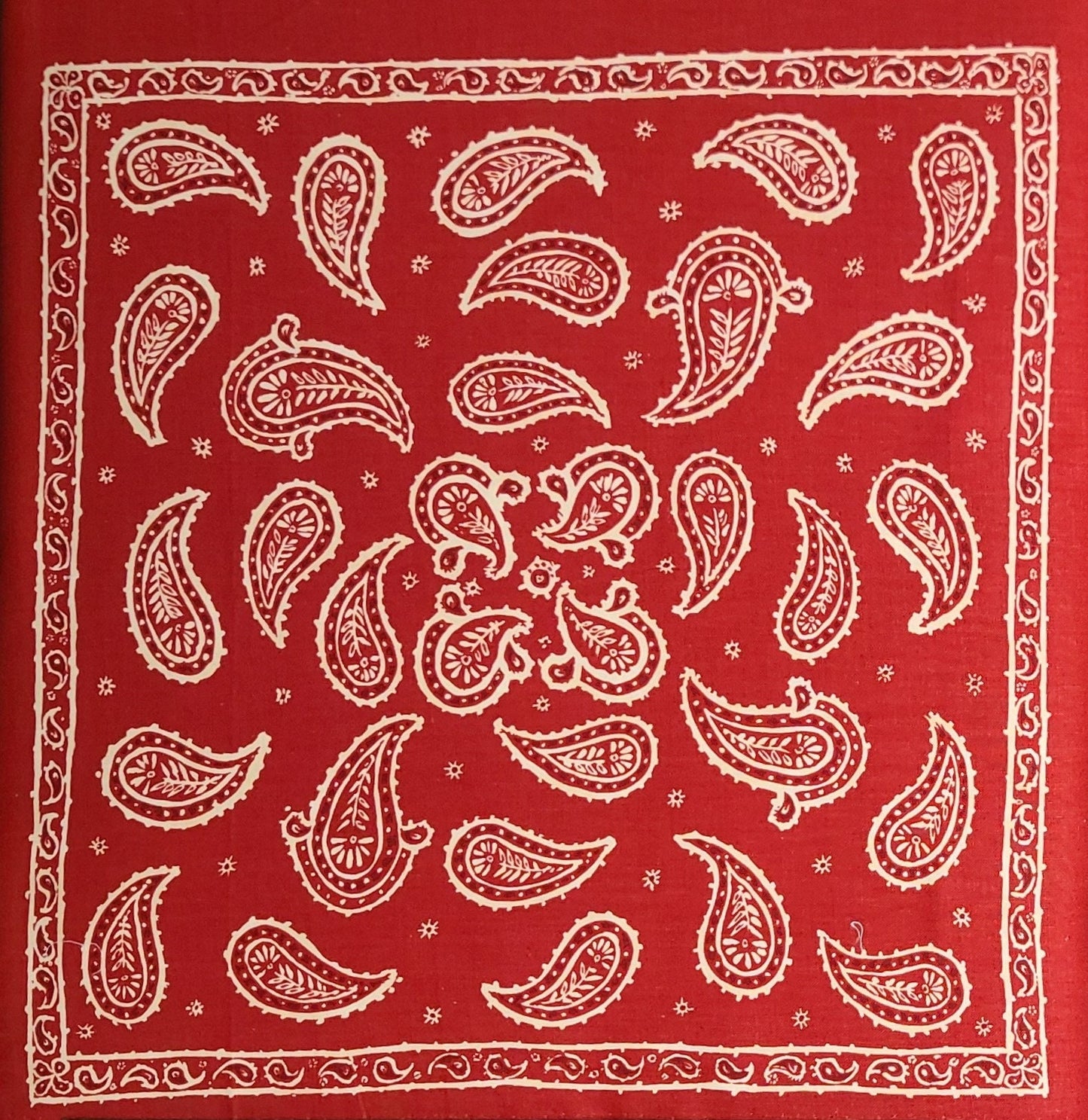 Red Fabric / Bandana Print Blocks / White Paisley