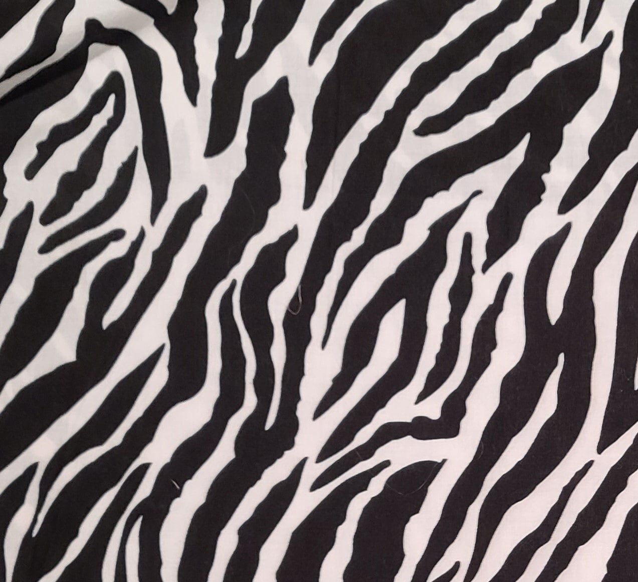 White and Black Zebra Stripe Print Fabric - 54" WIDE - Selvage to Selvage Print