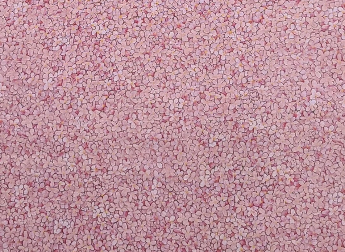 Petite Fleurs by Hoffman International Fabrics - Light Pink, Dark Pink, Black Flower Print Fabric